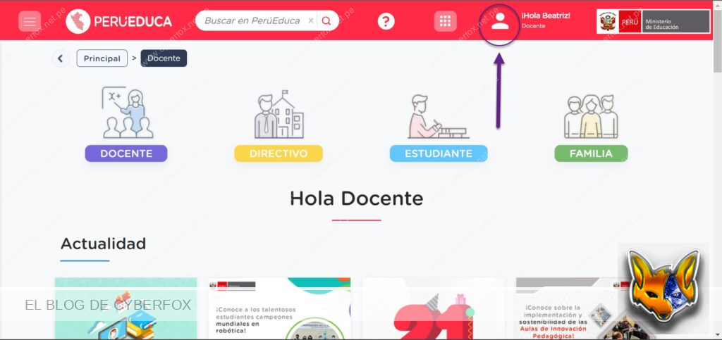 Cambiar perfil en PeruEduca